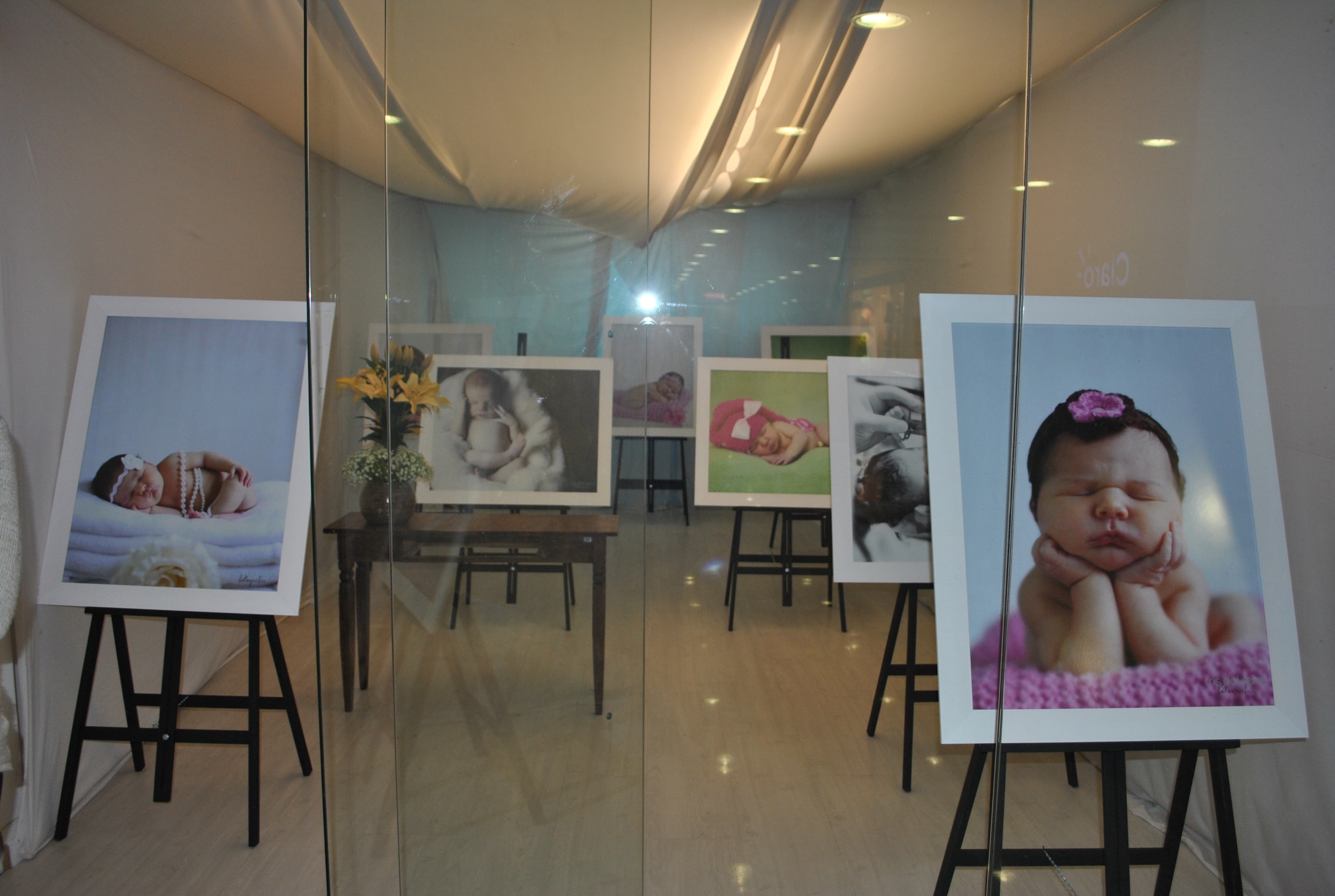 Exposição fotográfica Newborn no Bella Città Shopping 