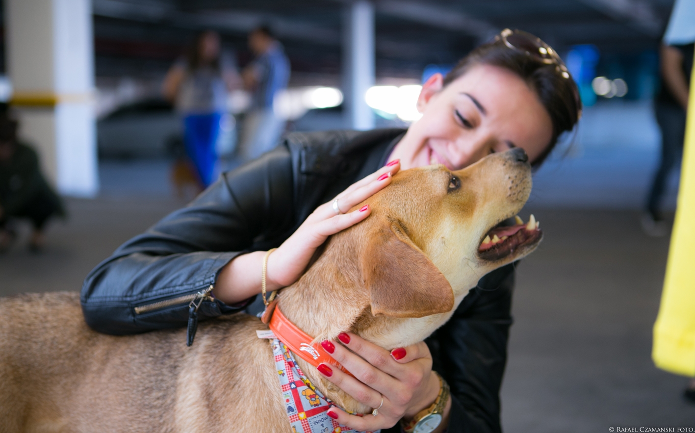 Novos lares para os animais do COMPATA