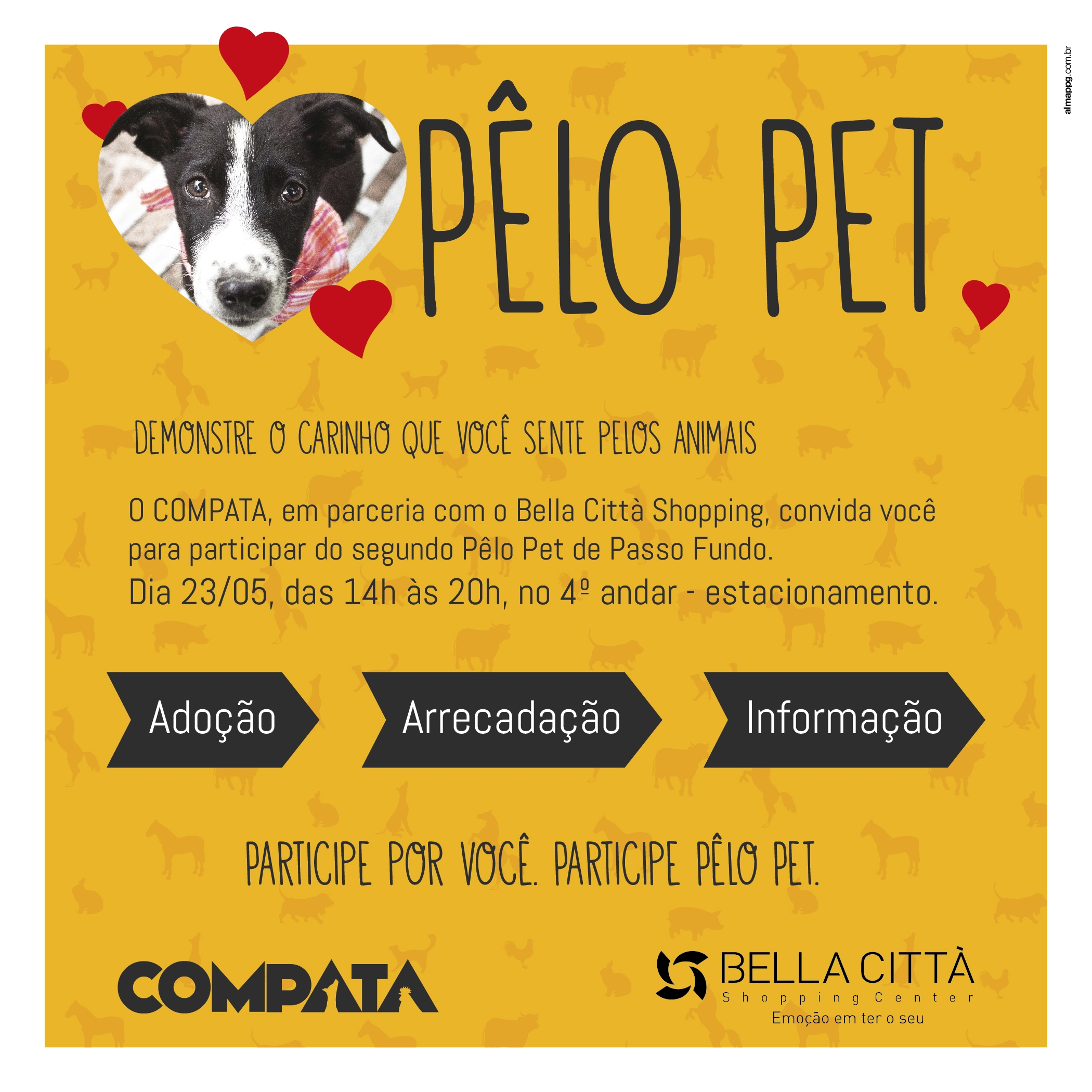 Segunda edição do Pêlo Pet acontece neste sábado no Bella Città Shopping